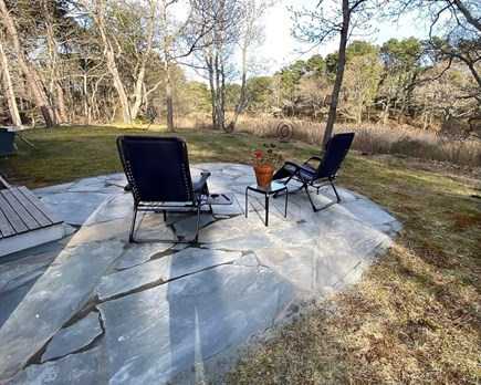 Wellfleet Cape Cod vacation rental - Backyard, unobstructed view of wetlands. Great for bird watching!
