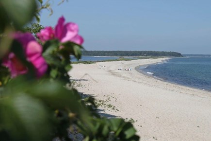 Mashpee, Popponesset Cape Cod vacation rental - Just 1 block to the Spit