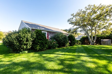 Dennis Cape Cod vacation rental - Green and spacious side yard