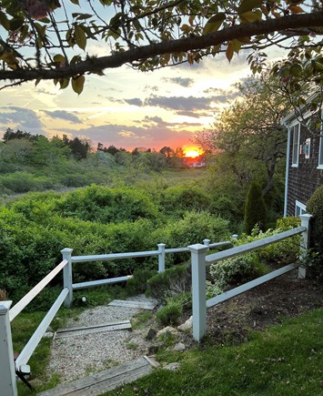 East Orleans Cape Cod vacation rental - Lovely view from side yard, over cranberry bog
