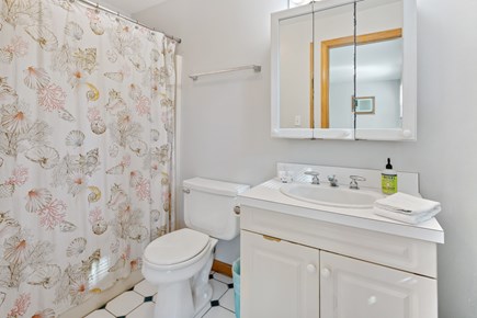 Wellfleet Cape Cod vacation rental - Primary ensuite bathroom with tub and shower