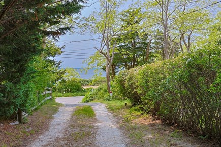 Wellfleet Cape Cod vacation rental - Glimpses of the harbor from the driveway
