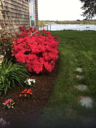 Chatham Cape Cod vacation rental - First view of Cove