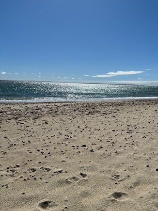 East Falmouth Cape Cod vacation rental - Short (less than .5 mile) walk to Menahaunt beach