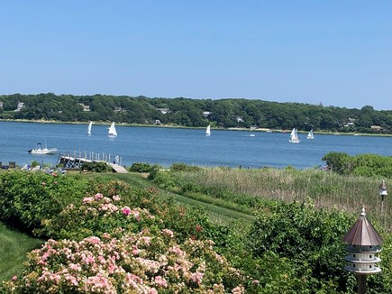 Eastham Cape Cod vacation rental - Watch the sailboats float by on Town Cove from this lush property
