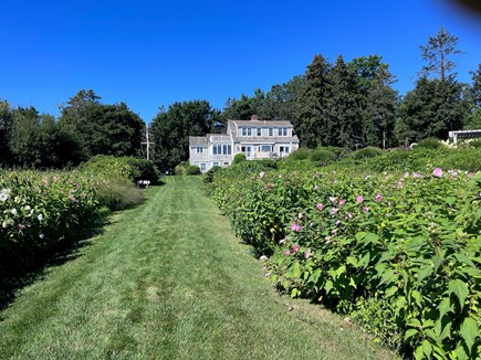 Eastham Cape Cod vacation rental - Spread out on this two acre property
