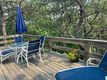 Truro Cape Cod vacation rental - More deck