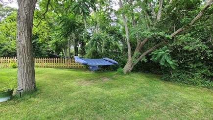 Wellfleet Cape Cod vacation rental - Enjoy the hammock in the yard