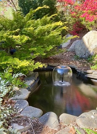 Yarmouth Cape Cod vacation rental - Backyard pond and fountain.