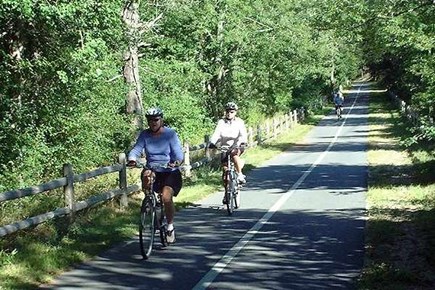 Chatham Cape Cod vacation rental - Direct access to bike path off the backyard
