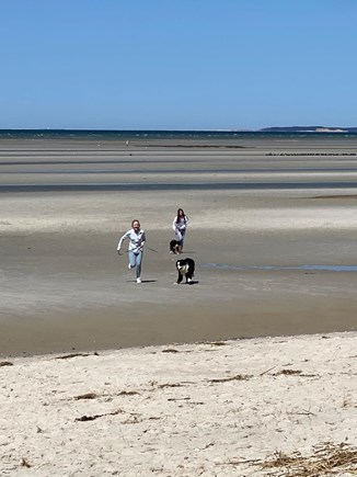 Ocean Edge, Brewster Cape Cod vacation rental - Brewster bay beaches are such fun at low tide!