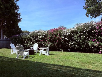 West Yarmouth Cape Cod vacation rental - Fenced yard with gardens, fire pit, shower and shed