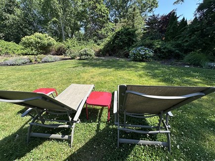 Brewster Cape Cod vacation rental - Great spot to catch some rays!