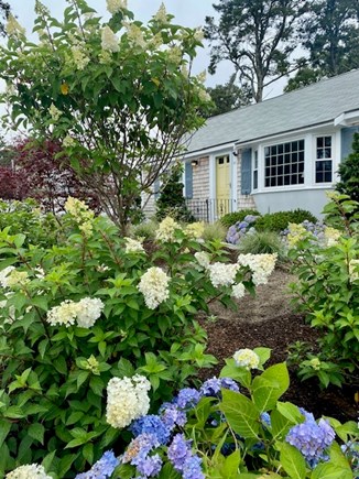 Dennis Cape Cod vacation rental - 