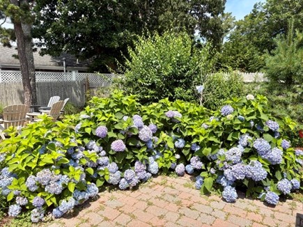 Dennis Cape Cod vacation rental - 