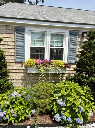 Dennis Cape Cod vacation rental - 
