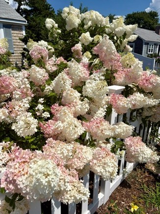 Dennis Cape Cod vacation rental - 
