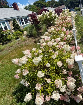 Dennis Cape Cod vacation rental - 