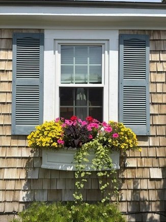Dennis Cape Cod vacation rental - 