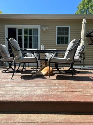 Bourne  Cape Cod vacation rental - Partial view of large deck - being restained in Spring 2024.