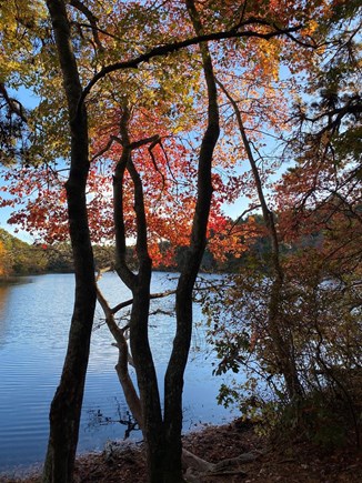 Hyannis Cape Cod vacation rental - Enjoy the amazing Fall colors on your choice of walking trails.