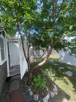Hyannis Cape Cod vacation rental - Newly renovated outdoor shower! Ahhh!