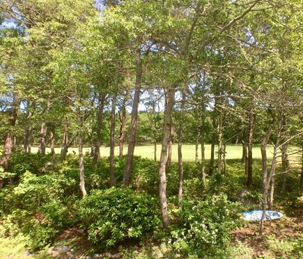 Brewster, Ocean Edge Cape Cod vacation rental - Grounds
