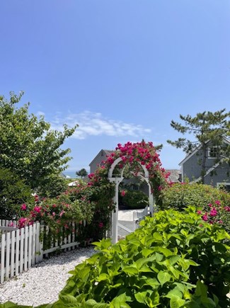 Mashpee, Maushop Village Cape Cod vacation rental - Rose arch looking toward the water from back of condo