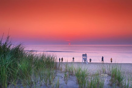 Eastham, Pine Tree Cottages Cape Cod vacation rental - Coast Guard Beach on the National Seashore - 7 min drive