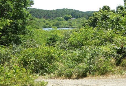 Truro Cape Cod vacation rental - View from front yard across the Pamet River