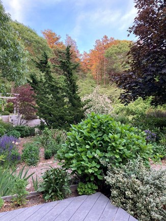 Truro Cape Cod vacation rental - View from back porch