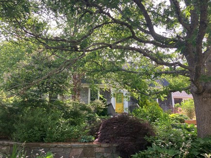 Truro Cape Cod vacation rental - Front door of house, visible beyond front garden