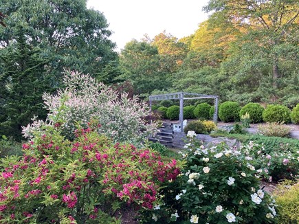 Truro Cape Cod vacation rental - Partial view of backyard: privacy, flora, light, and birdsong