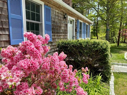 Brewster Cape Cod vacation rental - BNEXT