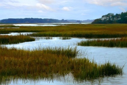 Wellfleet Cape Cod vacation rental - Paddle your way through the cove exploring the bay side.