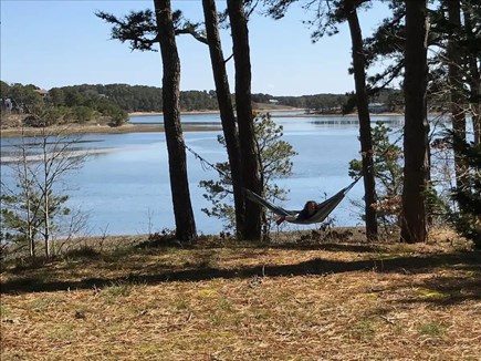 Wellfleet Cape Cod vacation rental - View of the Cove from in front of the cottage-Nap in the hammock?