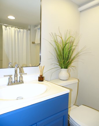 Dennis Port Cape Cod vacation rental - Lower level bathroom with shower
