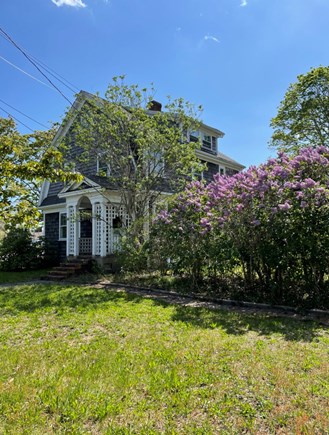 South Yarmouth Cape Cod vacation rental - Lilacs in bloom