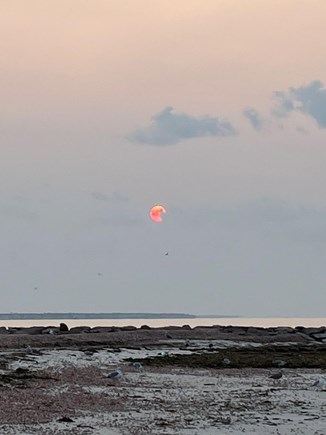 West Yarmouth, Lewis Bay Cape Cod vacation rental - Seagull Beach Sunset