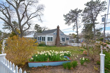 Dennis Port Cape Cod vacation rental - Corner lot, little traffic, large yard Dogs WELCOME! Fully fenced