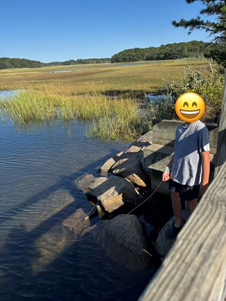 Yarmouth Cape Cod vacation rental - Crabbing (you don’t need a license) in Harwich!