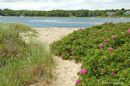 Osterville Cape Cod vacation rental - Dowses Beach, Osterville