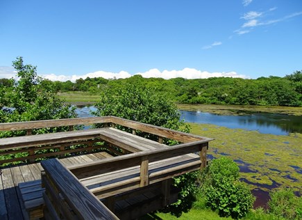 Woods Hole Cape Cod vacation rental - Incredible deck – best spot for morning coffee, hear the birds!