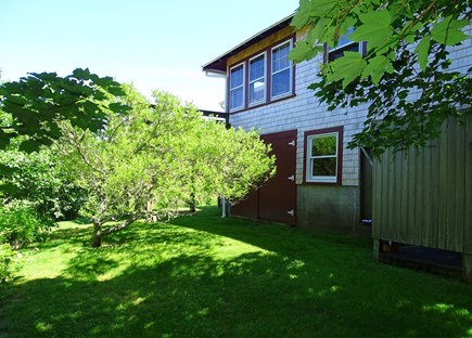 Woods Hole Cape Cod vacation rental - Outdoor shower and blooming flowers – side yard