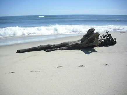 Eastham Cape Cod vacation rental - Coast Guard Beach