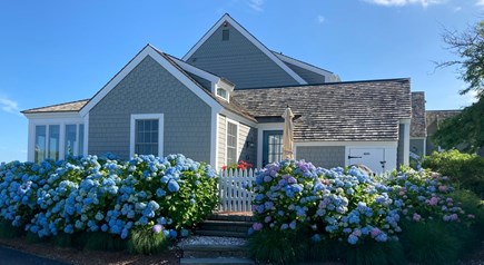 New Seabury Cape Cod vacation rental - Charming end unit surrounded by hydrangeas