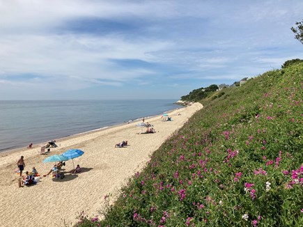 New Seabury Cape Cod vacation rental - Private ocean beach for Maushop owners and guests only