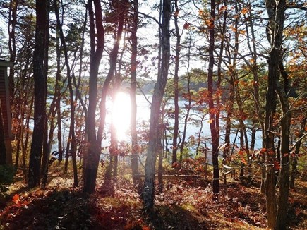 Truro Cape Cod vacation rental - 