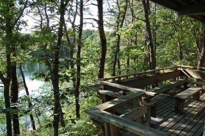 Truro Cape Cod vacation rental - 