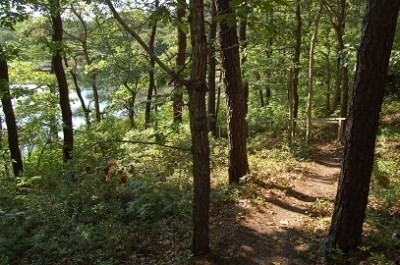 Truro Cape Cod vacation rental - 